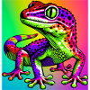 Gecko