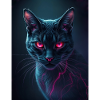 red eye cat