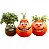 vegetables