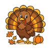 Autumnal cartoon turkey with pumpkin