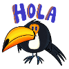 Hola Toucan