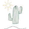 Cactus in sunlight