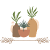 Vase Plants Collage