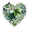 Leaf Heart Nature Pattern
