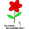 Flower Anger