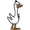 Angry goose