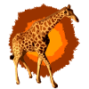 Giraffe im Sonnenfeuer