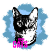 Cat Love Blue Splash