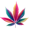 Cabbage leaf