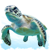 Underwater turtles close-up
