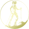 Nordic Walking Silhouette
