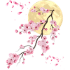 Vollmond mit Kirschblüte