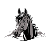Cheval Noir Stylisé