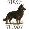 Old German Shepherd – Best Buddy