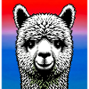 Alpaga