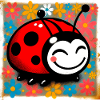 ladybird