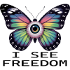 Rainbow Eye Butterfly