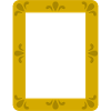 Ornate Gold Frame Portrait