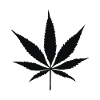 Cannabis Leaf Silhouette