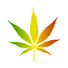 Rasta Gradient Cannabis Leaf