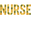 Infirmière, Vie d’infirmière