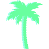 Mint Palme im Neonlook