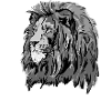 Lion's head in grayscale