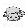 Cat Saying Understand It Doesn't Matter