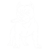 Bulldog Cigar Graphic