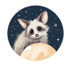 Oppossum Starry Sky
