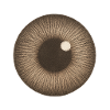 Brown Iris Closeup