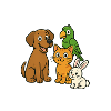Animal lovers