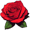 Rose red with leaves