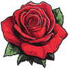 Rose in red