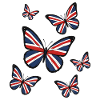 Union Jack Butterflies