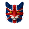 Union Jack Cat Portrait