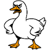 Angry goose