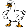 Funny angry goose