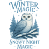 Winter Owl – Snowy Night Magic