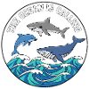 Ocean Calls Dolphin Whale Badge
