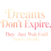 Dreams Don't Expire They Await You