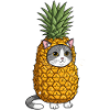 Pineapple Cat Costume Illustration