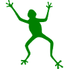 Frog Silhouette: Tropical, Rainforest