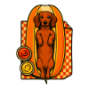 Dackel im Hotdog-Brötchen