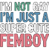 Pas gay – juste mignon femboy