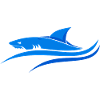 Blue Shark