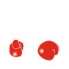 White Dog Boxer