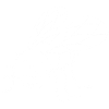 Fly Skull (White)