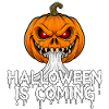 Halloween arrive