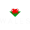 Heart with Welsh flag, master Wales